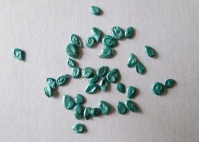 ��� ��������� ����������� ������ ������� � ������: �������� ������ ��� ��������� ������