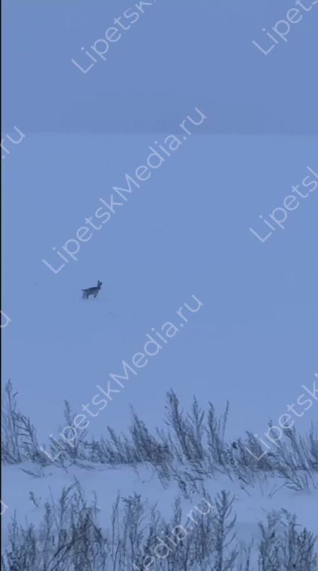 ��� ������ ����� ��������� ������� � ���� ������ ������