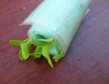 ��� ��������� ��������� ����� � ������������ ������� ����������� ����� � ���� ����