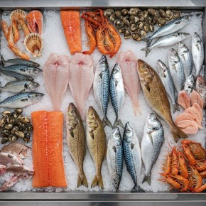 ��� ������� ��������� ����: ������, ������� ����� �����