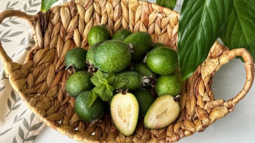 ������ ����� �������� �������� �� ������: �������� �������� � ���������� �������