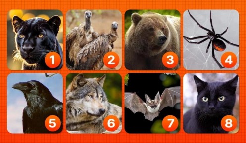 ��� ���� ������� �������� ����� �������� ���� �������� ����� ���������?