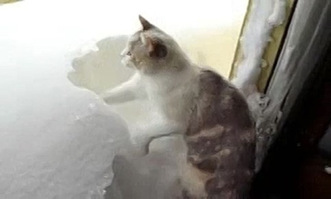 �����, ���� � ������� ����� ����� �������� ��� ���� � �������