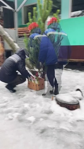 ���������� ������� ����� ��� ����� ������� ���