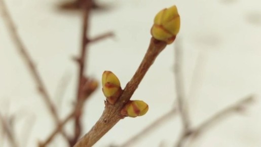 ������ �������� ����� ��������� ����� ������