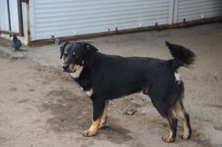 � ������ ���������� ������� ������� �� ������ ������������ �������� ����������� ����������� �� ������ ������������ ����� �� ������ ���������� ������