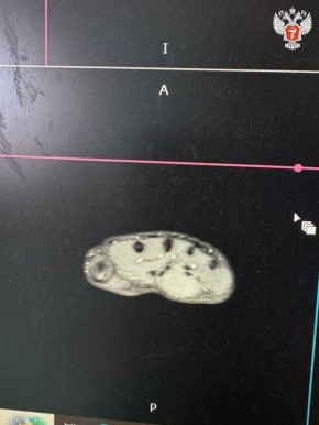 �������� ����� ��������� ������� ����������� ������ ����� ����� �������� �������