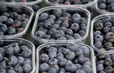 ��� ��������� �������� �������� �� ������ �����: �������� ������