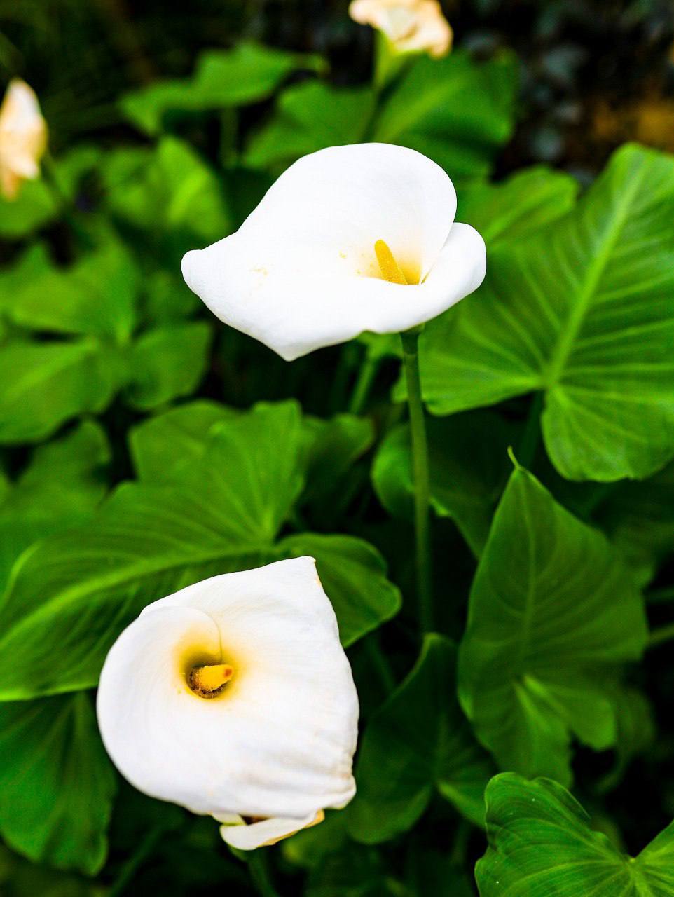 На улице -10 °C, а всем уже хочется тепла и зелени