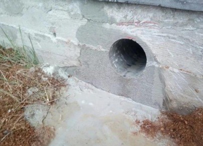 Как защитить свой дом от мышей: эффективные решения для продухов в фундаменте