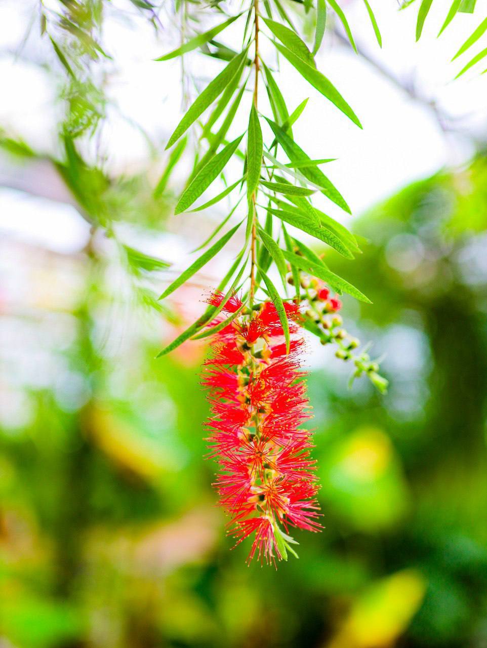 На улице -10 °C, а всем уже хочется тепла и зелени На улице -10 °C, а всем уже хочется тепла и зелени