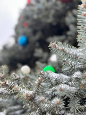 Доброе утро, липчане. Первая рабочая неделя этого года достигла своего экватора, как, кстати, и календарная зима Сегодня будет немного теплее чем вчера, но варежки и шарф - все еще наш главный аксессуарВооружаемся ими и идем...