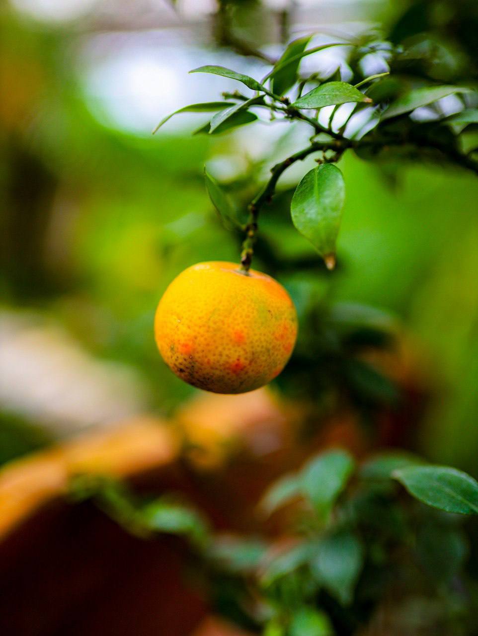 На улице -10 °C, а всем уже хочется тепла и зелени На улице -10 °C, а всем уже хочется тепла и зелени