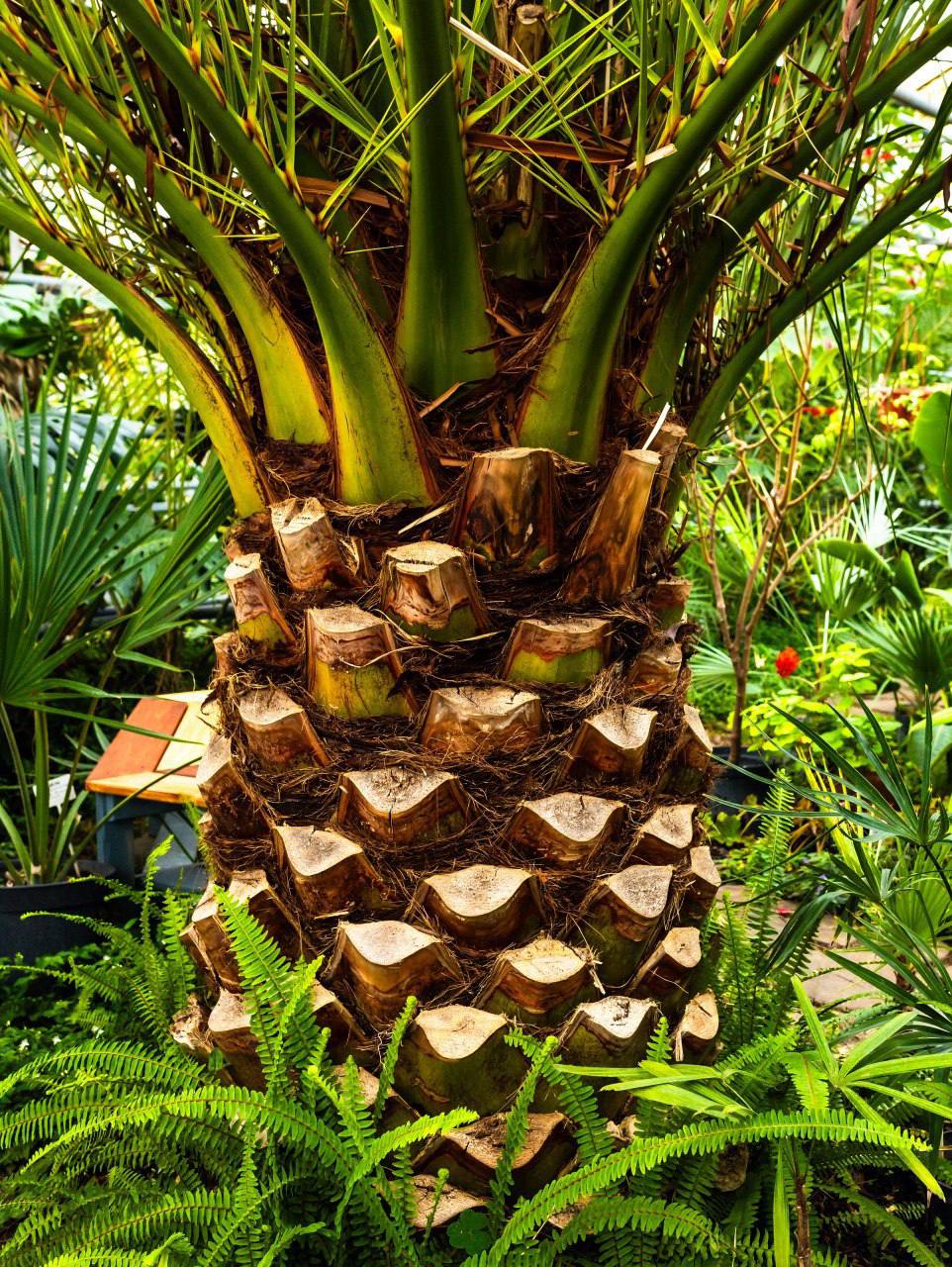 На улице -10 °C, а всем уже хочется тепла и зелени На улице -10 °C, а всем уже хочется тепла и зелени