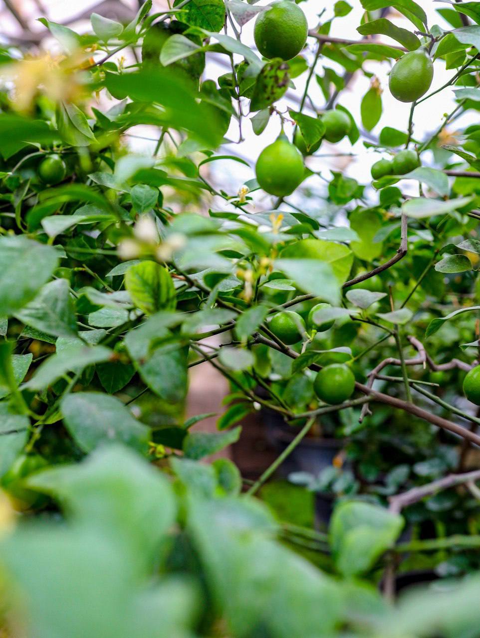 На улице -10 °C, а всем уже хочется тепла и зелени На улице -10 °C, а всем уже хочется тепла и зелени