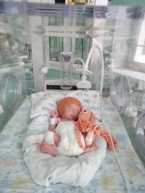 ����� ������������ ������ � ������������ �� ���� �������� �������� ������� ��������� �������������� ���������� ��������