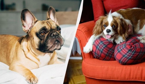 ��� ������ ����� ����� ������ ������� �� ������ ��������