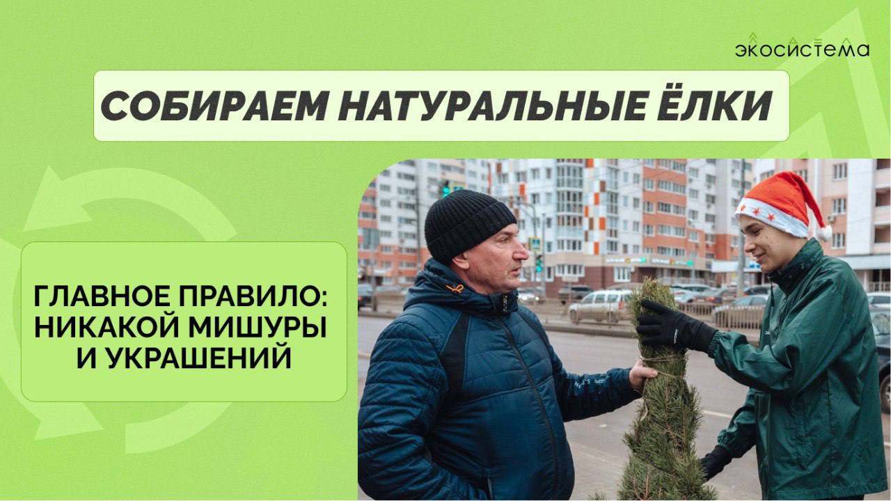 Отнеси ёлку на автобусную остановку 17 января, если живёшь в Липецке Отнеси ёлку на автобусную остановку 17 января, если живёшь в Липецке