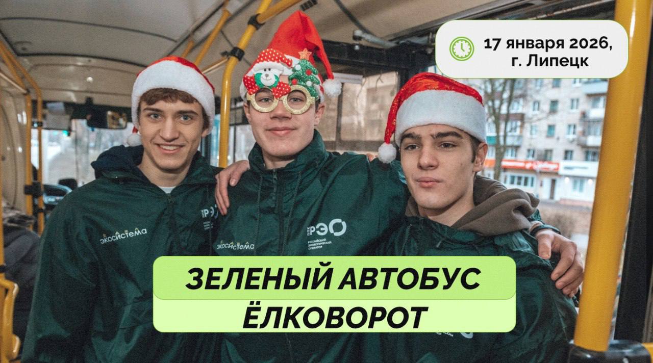 Отнеси ёлку на автобусную остановку 17 января, если живёшь в Липецке