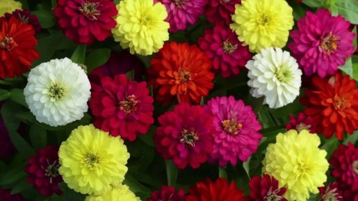 �����: ����� ����� � ������������ ��� ������ ����