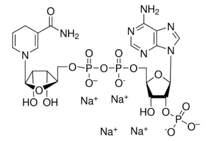 ��������� ��������: ���� NAD � ��� ���������