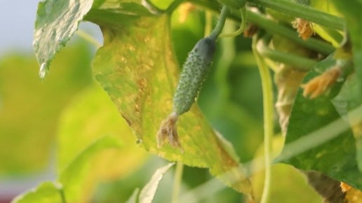 ��� ������� � ����� ���� ������ �� ��� ������ �� ����������