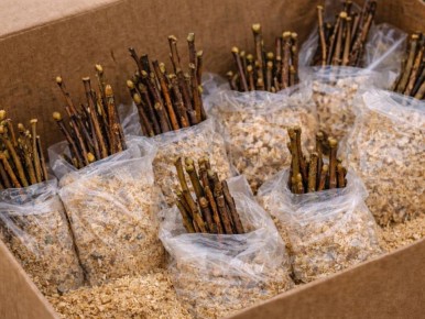 ��� ������� ��������� ������� �� �����: ������� ������� ��������