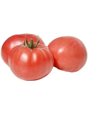 ����� ���������: ��� ��������� ������� ��������, ������� ����� ��� ��������