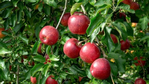 ��� ������� ��������� ������ ��� ������ ����: ��� ����� �� ��� ������ �����