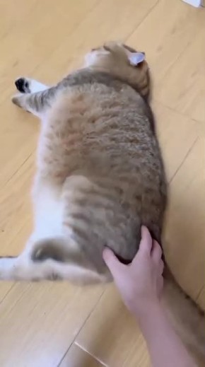 ������ ������ �������� ������ ����������