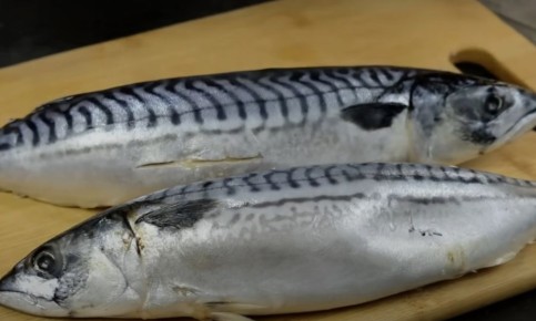 �������� � ��������: ��������� �� ������ ����