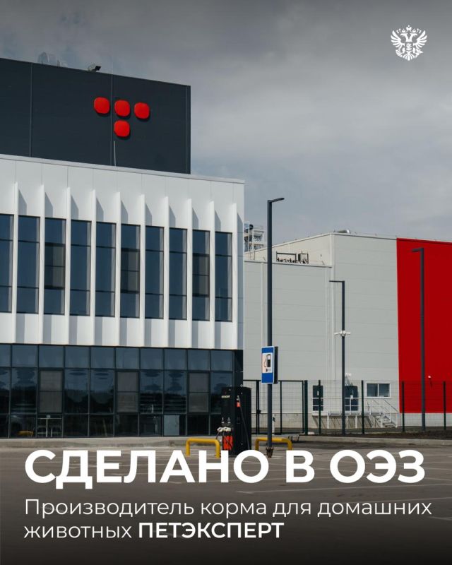 Спортсмены, учителя и инноваторы — всё это о ПЕТЭКСПЕРТЕ