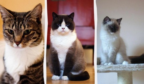 ���� ��� ����������: ������ ������ ��� �������� �����