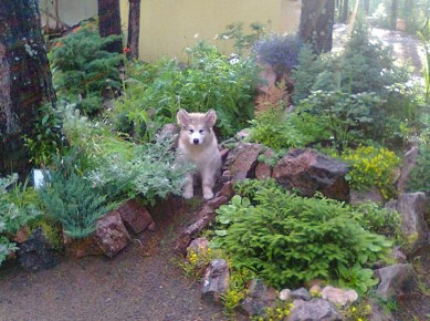 ��������: ��� ���������� �����������, ������� �������� ���� ������� �����������