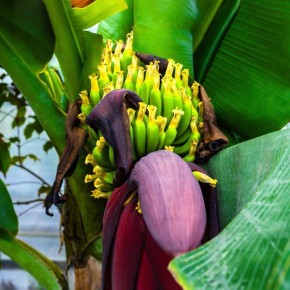 �������� ����. ������� �������� � ������������ ����