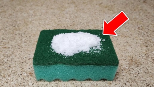 ���� �� �����: ������ ������� � �������� � ����� ����