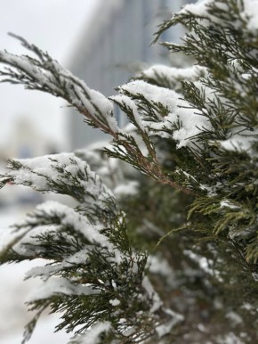 ������ ����!. ������� 21 ������, ����� � �� ����� ���������� �������