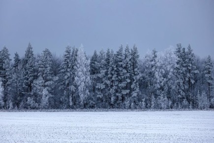 ����, �� ������� ���������� ������������� �������, �� ������� �������� �� �������� ����, ��� ������ ��� ����� �������