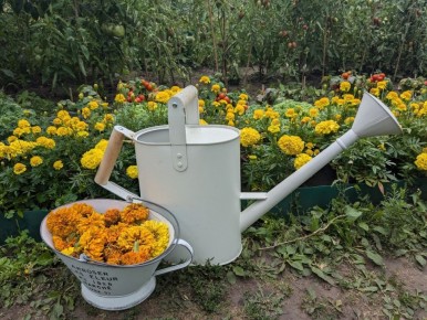 ������������ ����������� ����: ������� � ������ ��������� ������