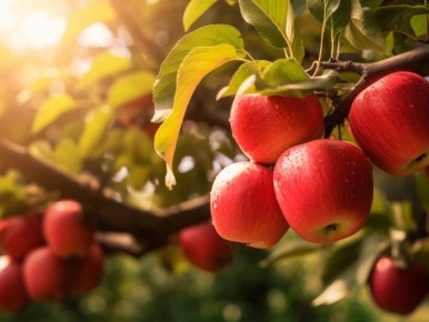 ��� ������� ��������� ���� ������ ��� ������ ����: ������ � �������