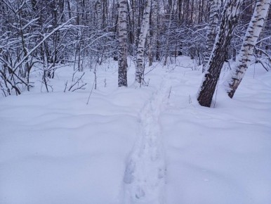 �� ������ ������� ����� �������� � ���� � ��, ����� ������� ��������� ���������