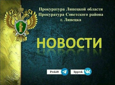 Жительница Липецкой области незаконно создала юридическое лицо и получила судимость