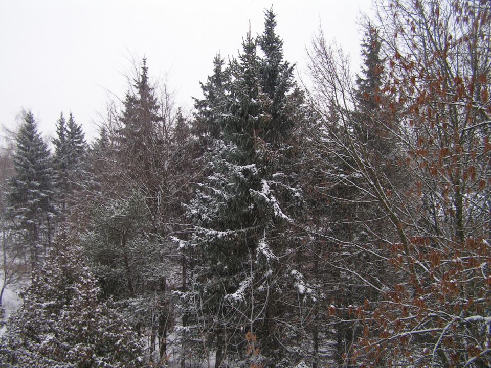 Зимние воспоминания: как менялись зимы за 15 лет