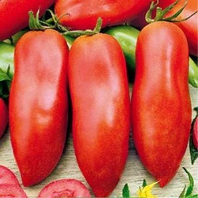 ����� ������: ��������� ����� ��� ������ ����