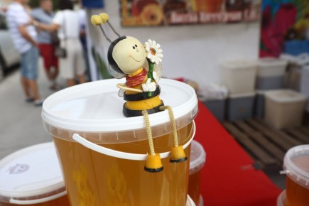 ��������� ��������� � ������: ������ ������������