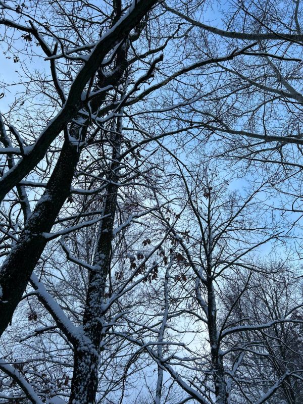 ������ ����. �������, � ������ ���� ������� ������, � ������� ����� ������� ������ �� ����� ���������� ������, � ����� �� ������, ���������� ������� ���� ��� �������� ���� ���� ��������� ���������� ���� �� �19