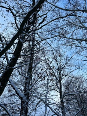 ������ ����. �������, � ������ ���� ������� ������, � ������� ����� ������� ������ �� ����� ���������� ������, � ����� �� ������, ���������� ������� ���� ��� �������� ���� ���� ��������� ���������� ���� �� �19