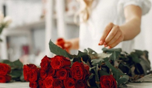 ��� �������� ����� �����: ������� �� ��������