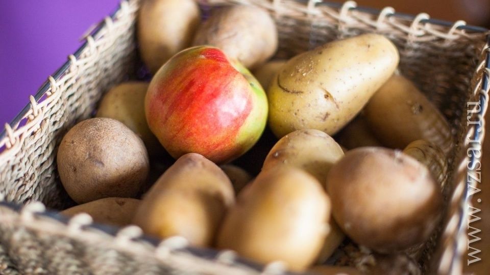 ����� ��������� ��������: ��� ��������� � �������� �������� ��������� � ������