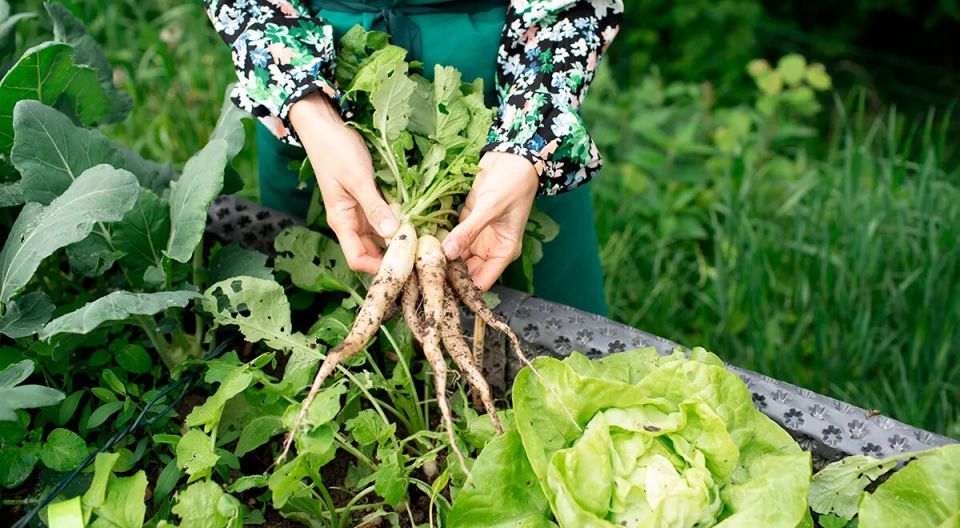 ����� ���������� ���� � ��� ��� �������